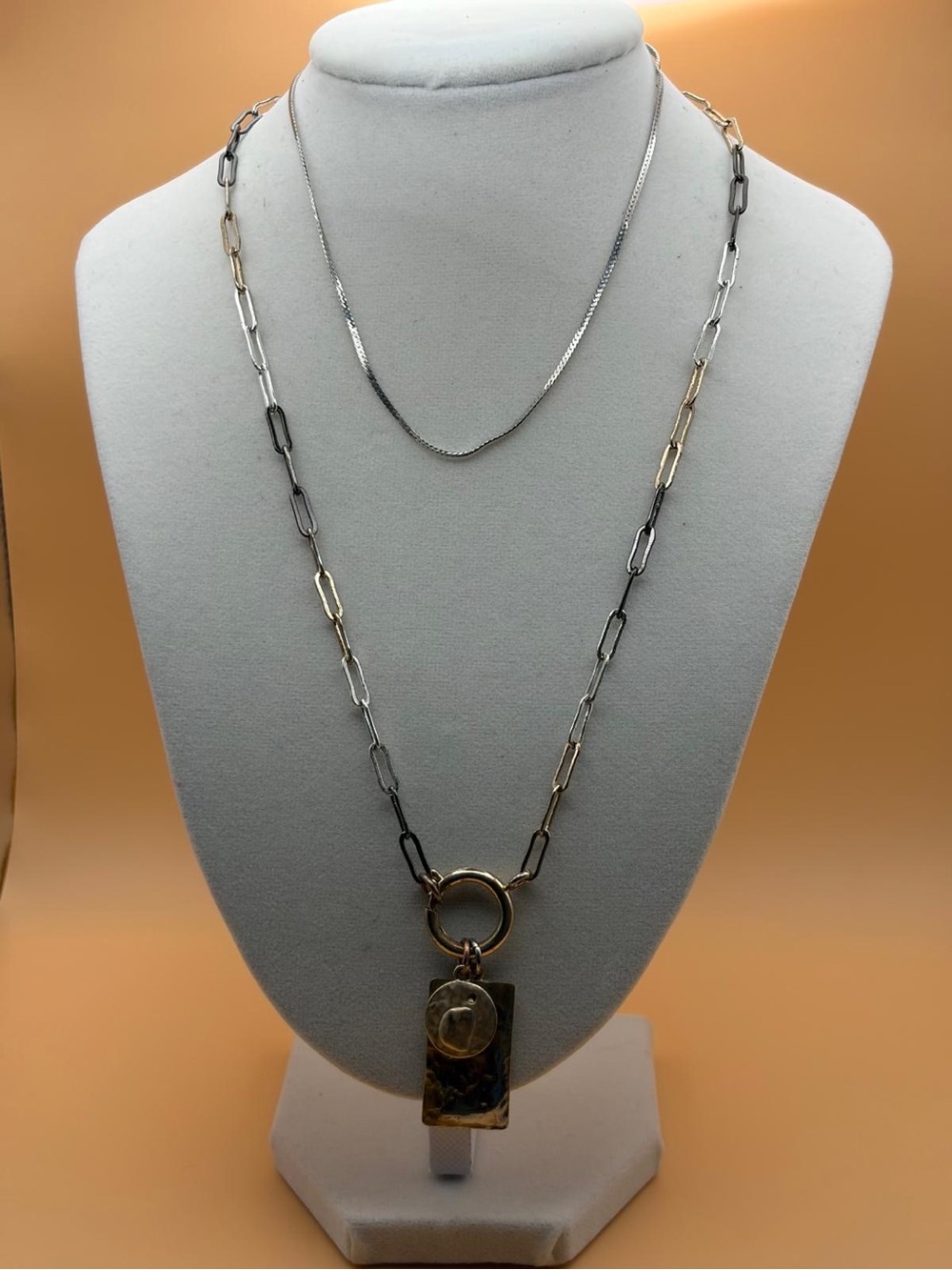 Zara Mixed Metal Layered Necklace in Gold and Silver